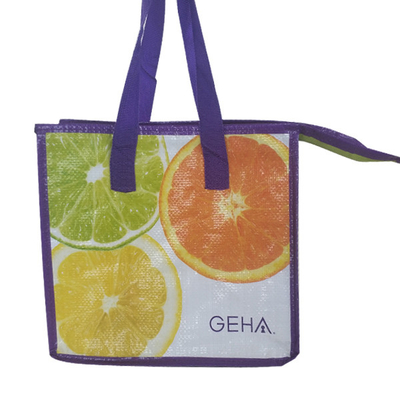 Αδιάβροχη μονωμένη Tote 100pcs τσάντα μεσημεριανού γεύματος cOem 23x26x16cm